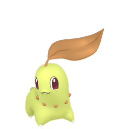 Shiny Chikorita