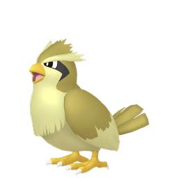 Shiny Pidgey
