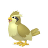 Pidgey