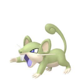 Shiny Rattata