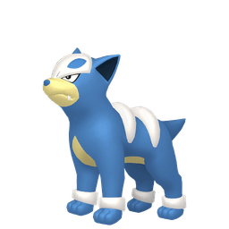 Shiny Houndour