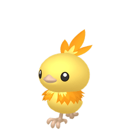 Shiny Torchic