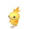 Torchic
