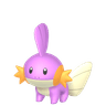 Mudkip