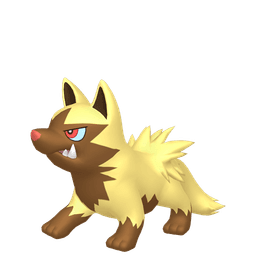 Shiny Poochyena