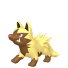 Poochyena