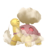 Torkoal