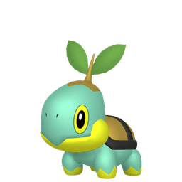 Shiny Turtwig