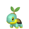 Turtwig