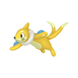 Shiny Buizel
