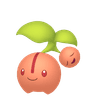 Cherubi
