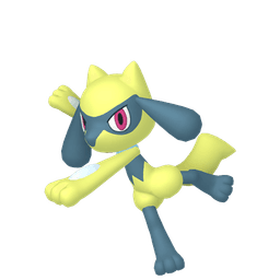 Shiny Riolu
