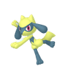 Riolu
