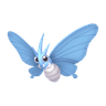 Venomoth