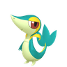 Snivy