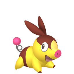 Shiny Tepig