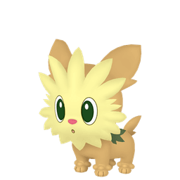Shiny Lillipup