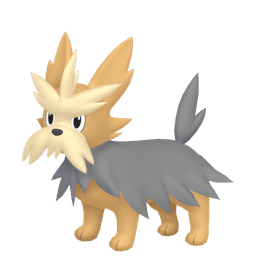 Shiny Herdier