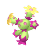 Maractus