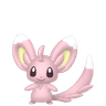 Minccino