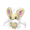 Cinccino