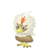 Rufflet