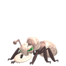 Durant